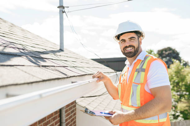 Best Metal Roofing Contractor  in Hamburg, IA
