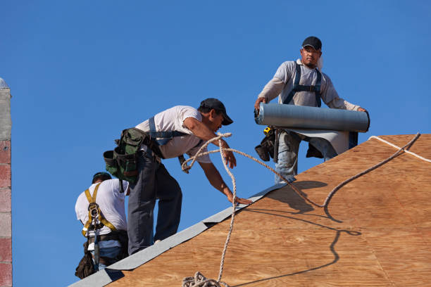 Best Emergency Roof Repair  in Hamburg, IA