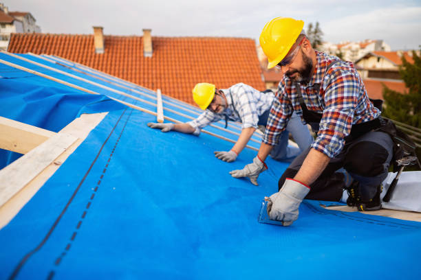 Best Commercial Roofing Services  in Hamburg, IA