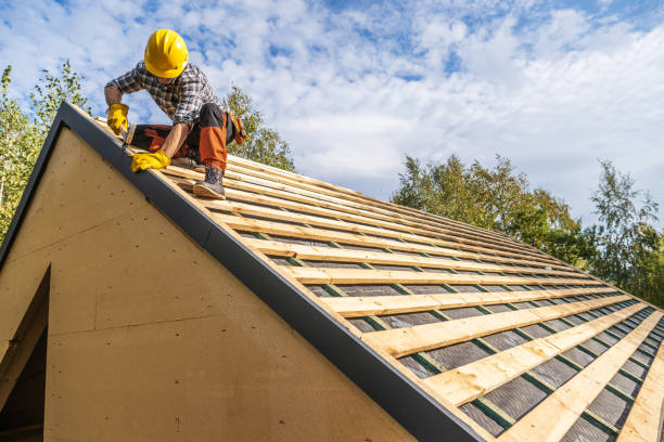 Best Shingle Roofing Installation  in Hamburg, IA