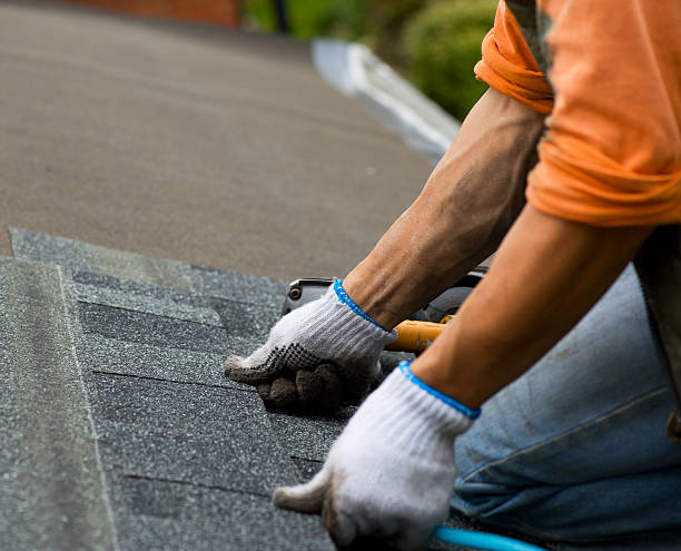 Best Flat Roof Repair Services  in Hamburg, IA