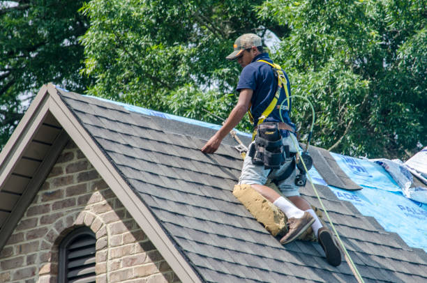Best Slate Roofing Contractor  in Hamburg, IA